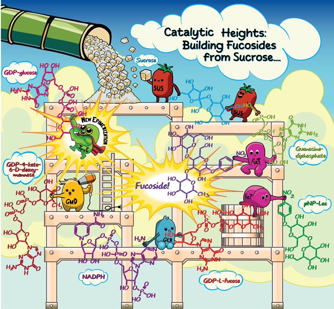 Graphical abstract: glycan structure.