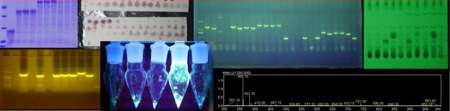 The group's laboratory.