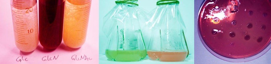Laboratory equipment.